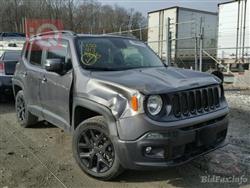 جيب رينيجيد